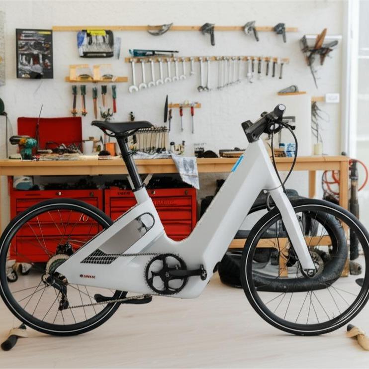 Elektroräder in Deutschland: Alles, was Sie vor dem Kauf wissen müssen